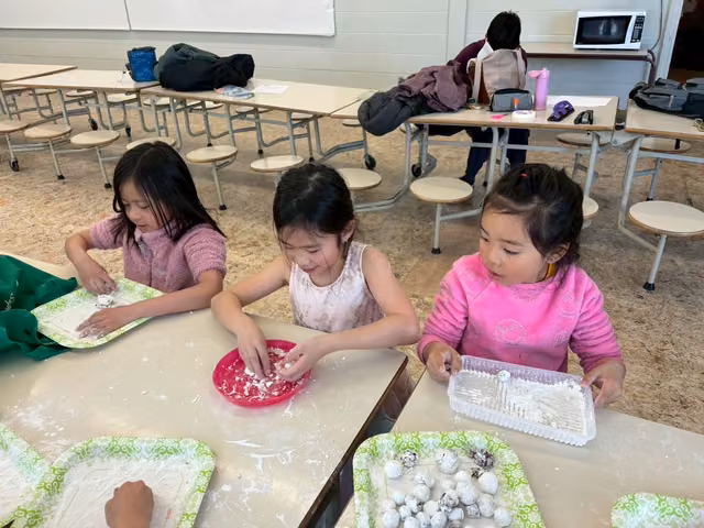 Rice-Ball Festival celebration