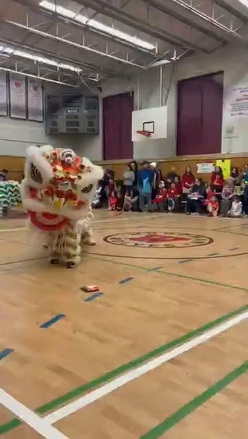 Chinese New Year celebration video