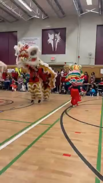 Chinese New Year celebration video